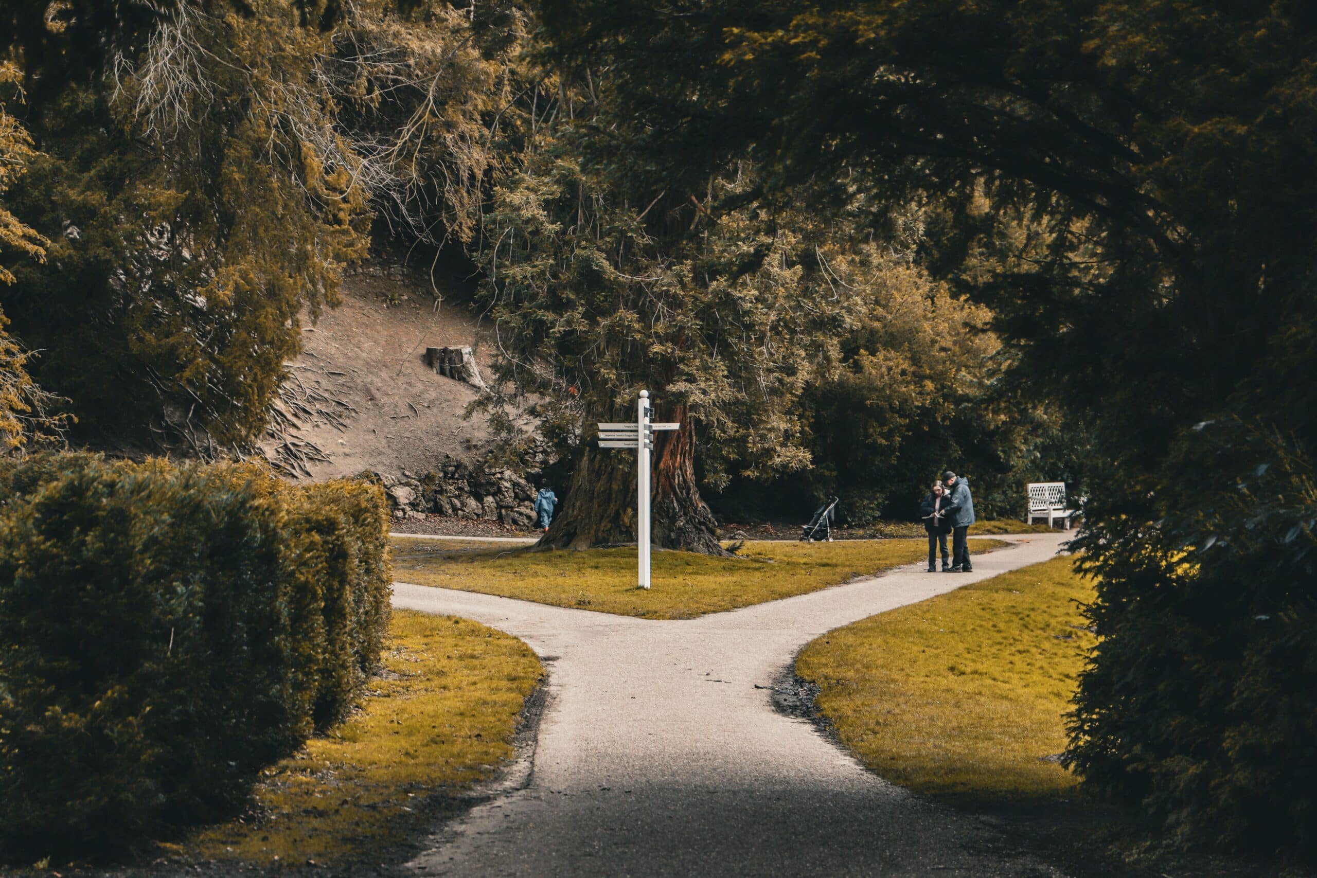 Forked path in a park, representing the choice between staying and changing careers