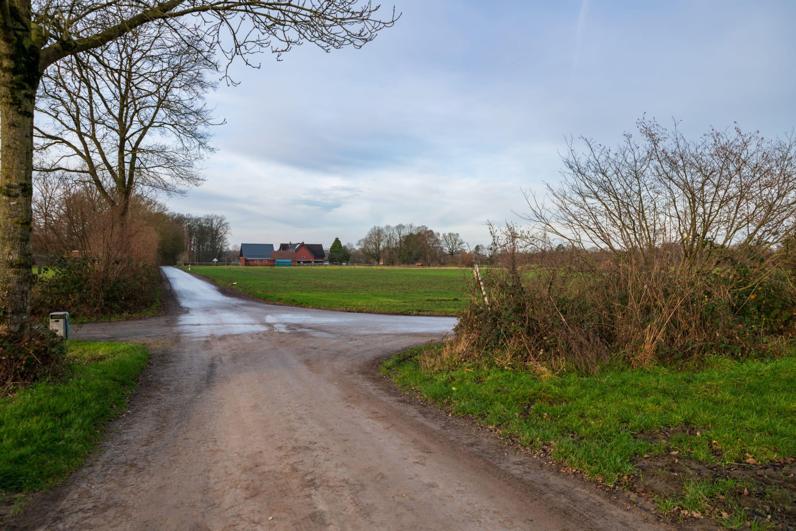 Rural road intersection under a clear sky, representing the choice between a career pivot and a career change